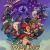 Jeu vidéo Owlboy sur Nintendo Switch