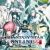 Jeu vidéo Phantasy Star Online 2 sur Xbox series