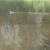 Benjamin.Mery's Avatar