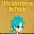 Jeu vidéo Little Adventure on the Prairie sur Nintendo 3DS